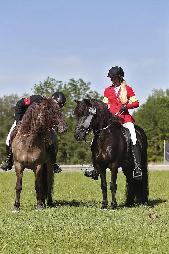 Gelungenes OSI Hammersdorf 2022 für das Team der Reitanlage Birch