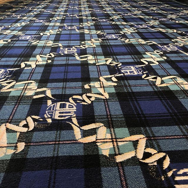 I love this carpet, it makes working on a Saturday worth every penny 🤪