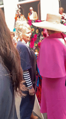 Stand-In Queen Maxima GIF by FASHIONCLASH-downsized_large (2).gif