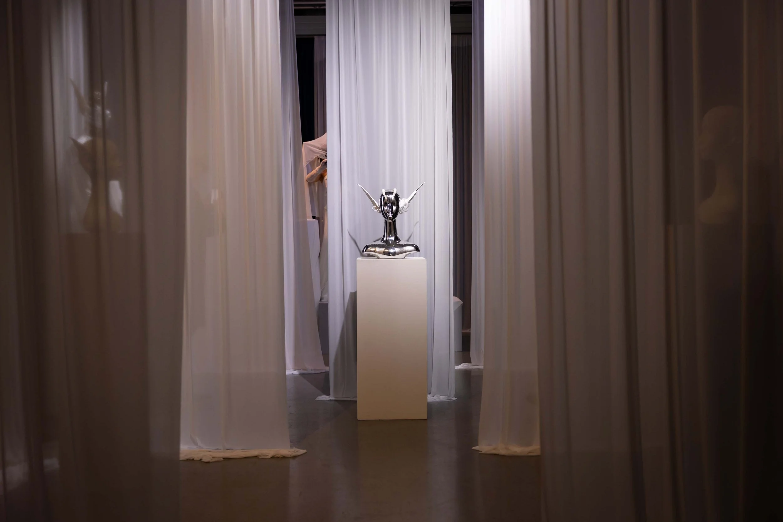 MVS_20251115_0012_WEB.jpg