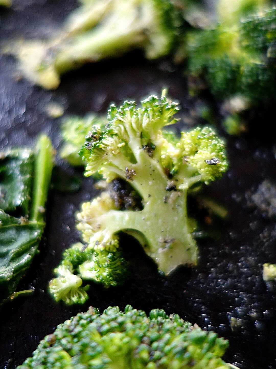 Wash and chop your broccoli, make sure it is very dry. Chop the florets in half so the sauce really coats them well. Make the quick sauce below. This is what I had in my cupboard but feel free to substitute. • 1 tbsp tamari • 2 tbsp black sesame powder , I bought mine at a Japanese store but just blend up black sesame seeds in your blender (or normal sesame seeds or even peanuts) • 1/2 tbsp olive oil • juice of 1/2 lemon • 1 tbsp tahini, I love Cypressa the organic one Rub it all over with your hands and add to the oven on a separate tray. The broccoli takes less time, so pop it in around the 20 min mark. Only flip once, it will form a gorgeous crust