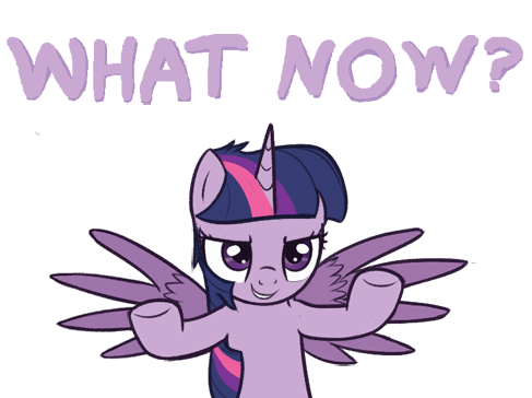 what-now.gif