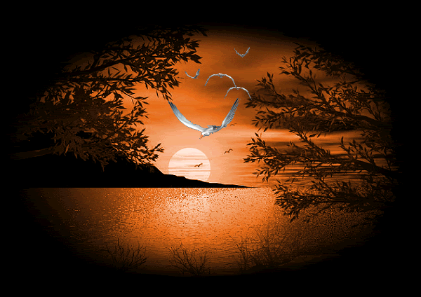 peace-1.gif