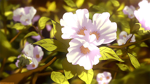 flower.gif