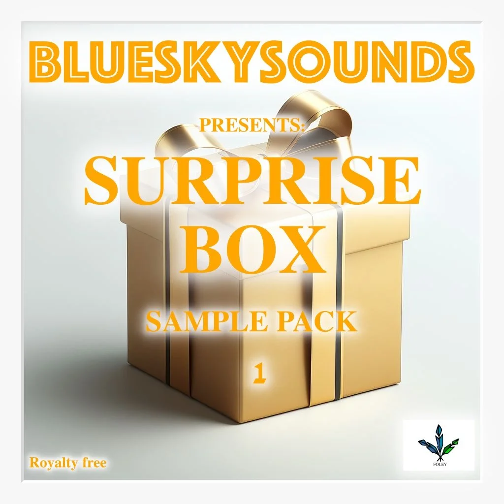 1 Surprise Box -  Sound Library
