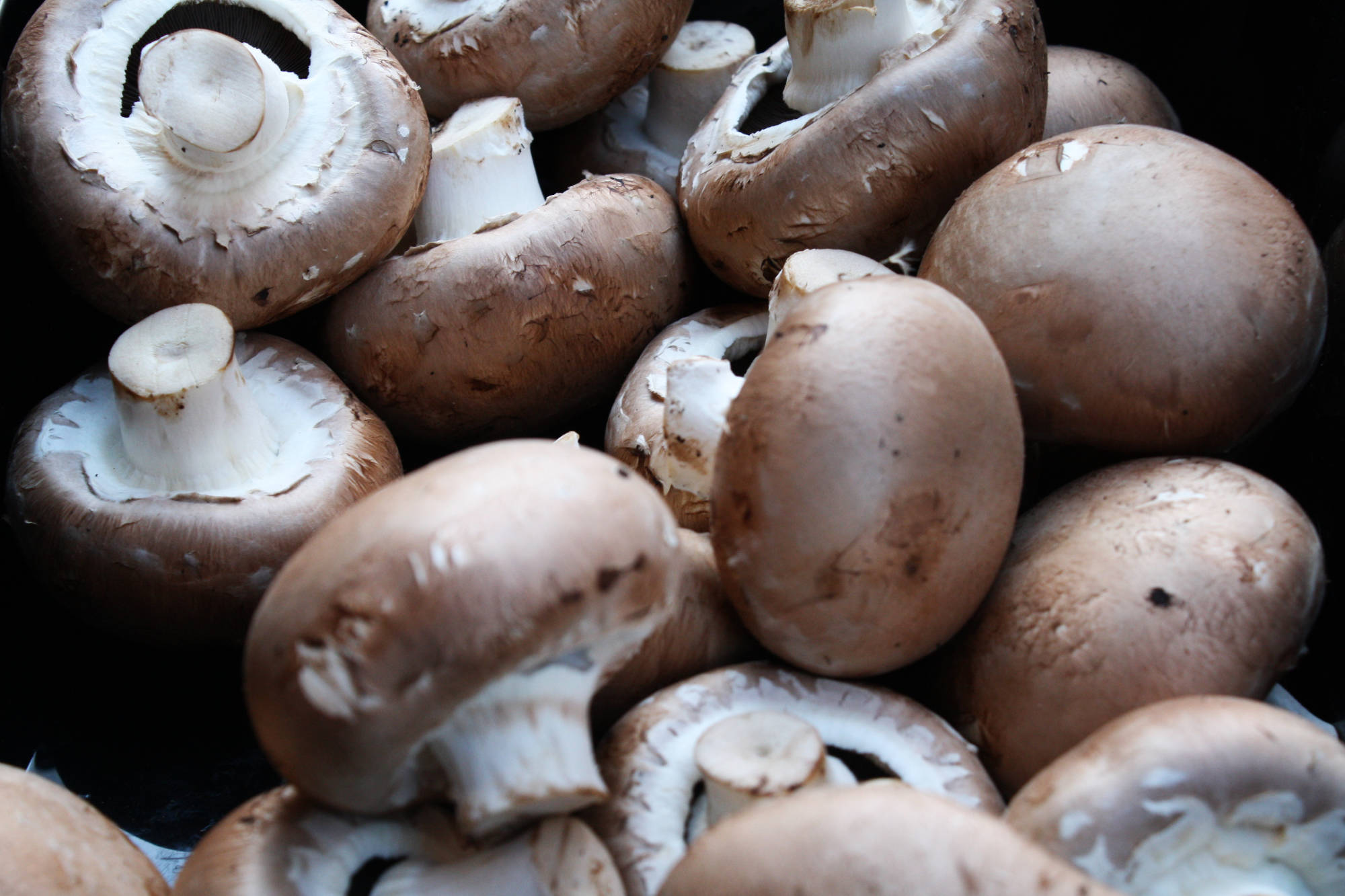 Organic Vegetables Mushrooms.jpg