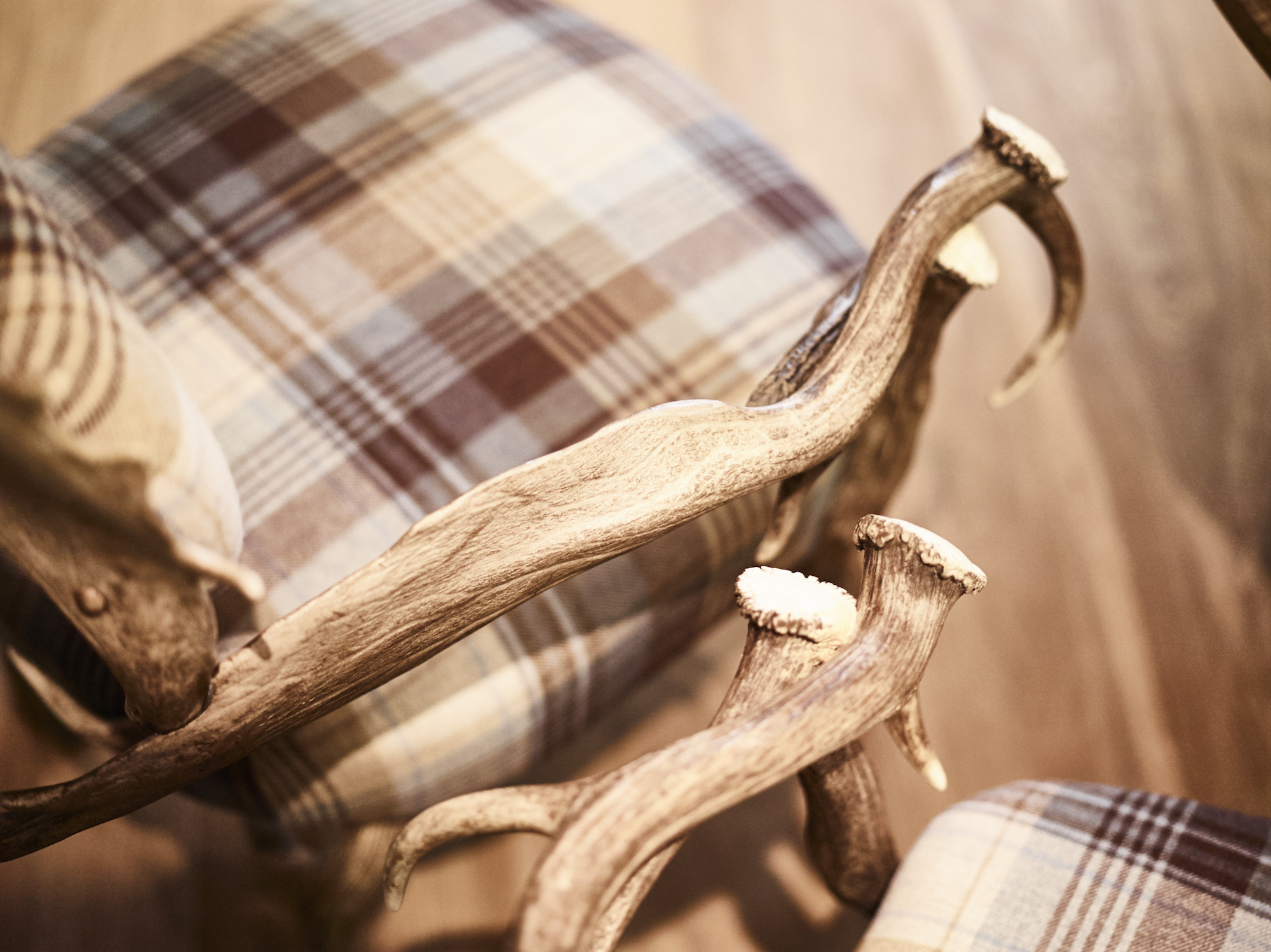 James Strong Tasting Room Antler Chair 4.jpg