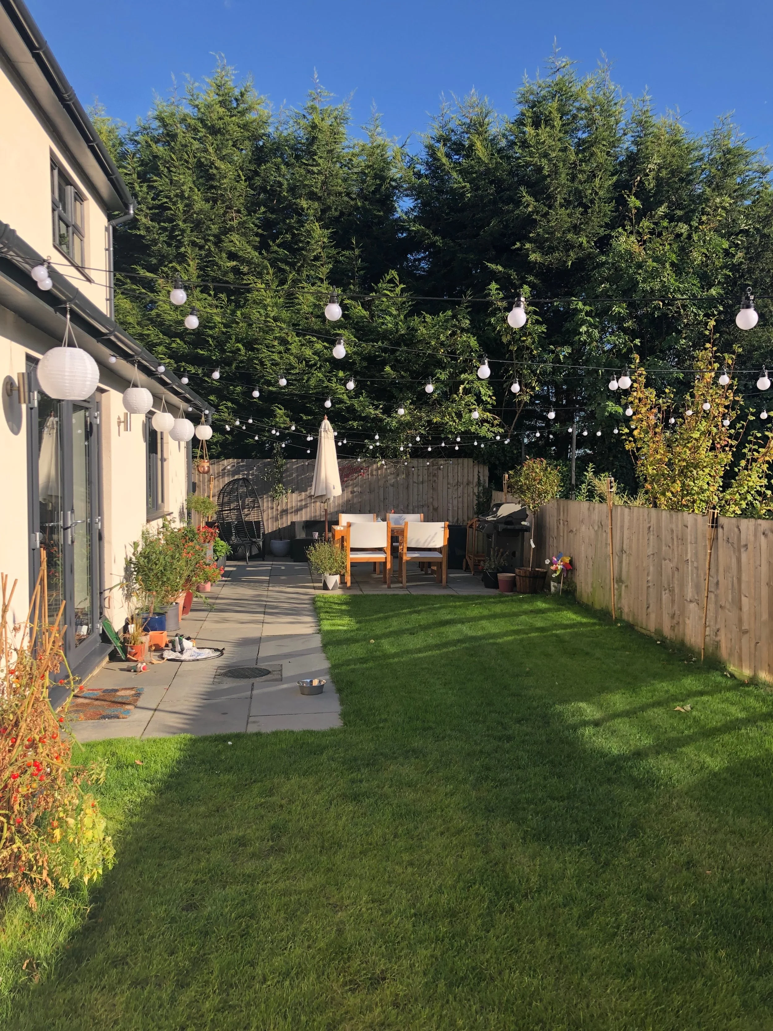 For orientation purposes only (ignore the crap on the floor) - the main strip at the back of the house leads to the corner patio