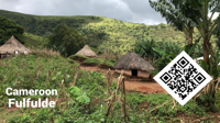 Cameroon Fulfulde Video Card