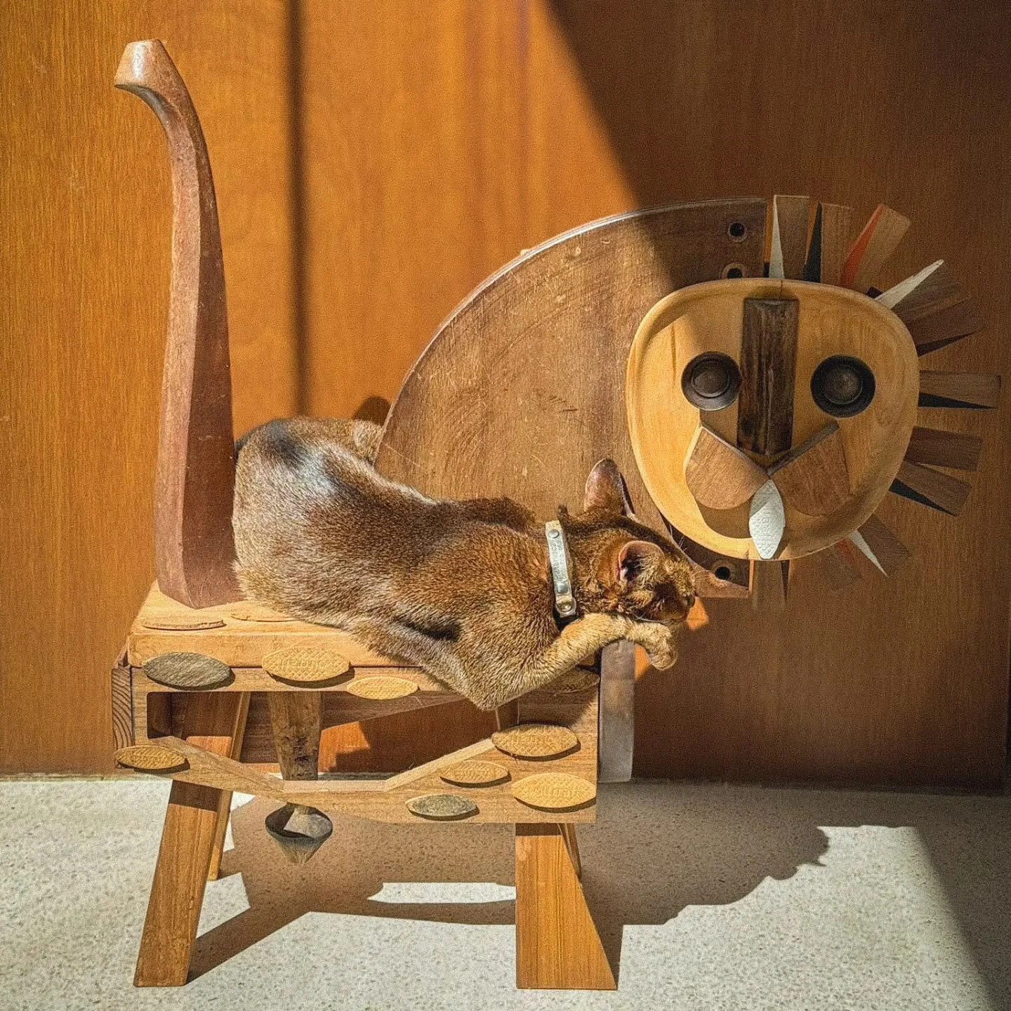 Dias de pregui&ccedil;a ao sol ☀️ 
Le&atilde;o, escultura feita com desperd&iacute;cios de madeira,  Cole&ccedil;&atilde;o Alvorada 2021

#oficinamarques&nbsp;
⭐️🔥
#gezomarques #joseapariciogoncalves  #tusadeviver #originaloficinamarques