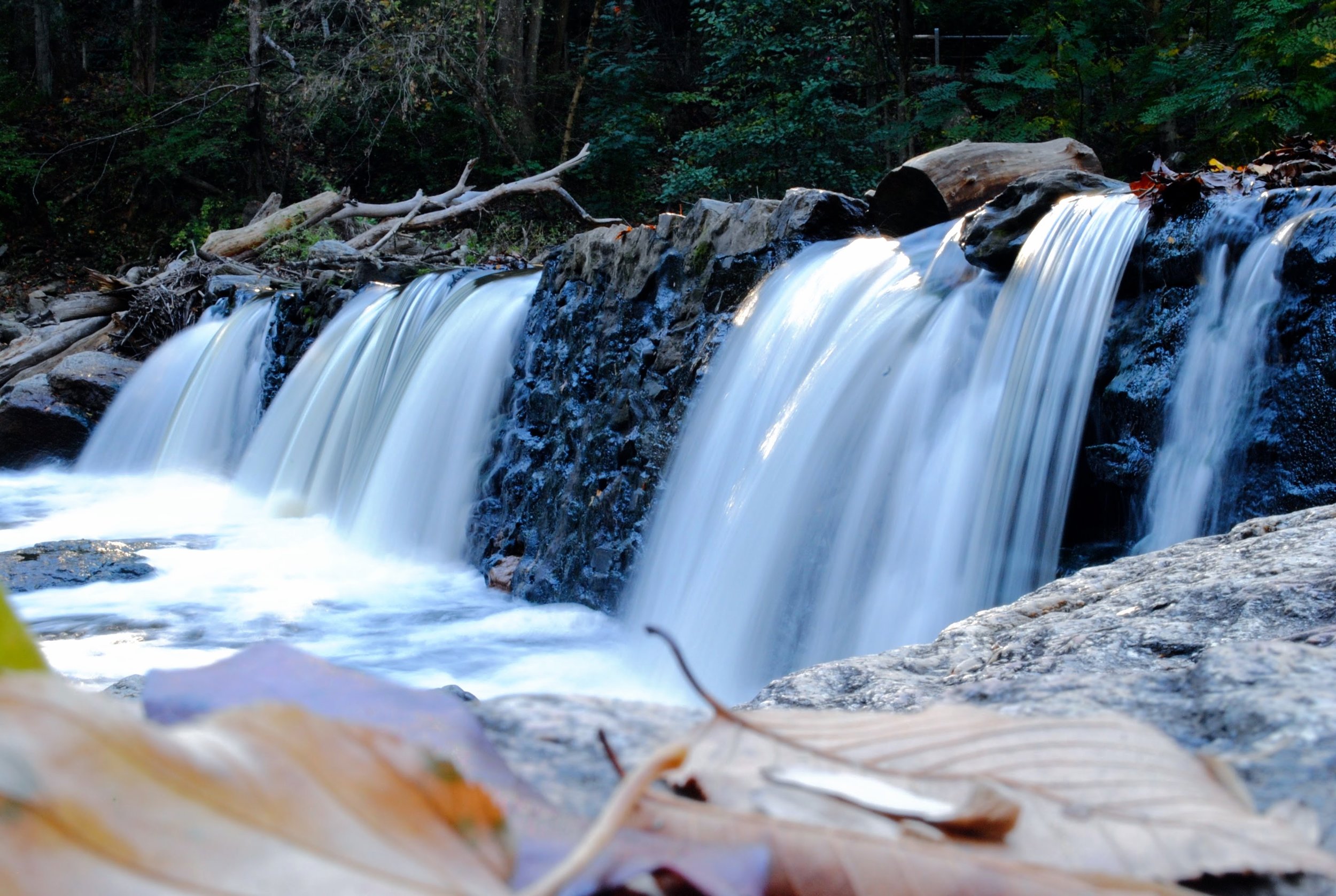 DSC_0044.JPG