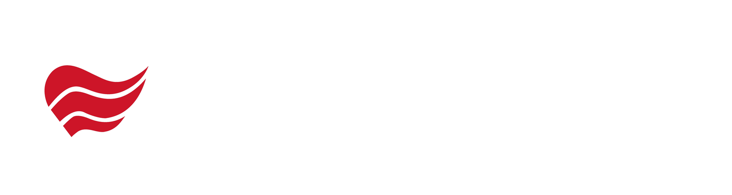Red Wing Bicycle Co.