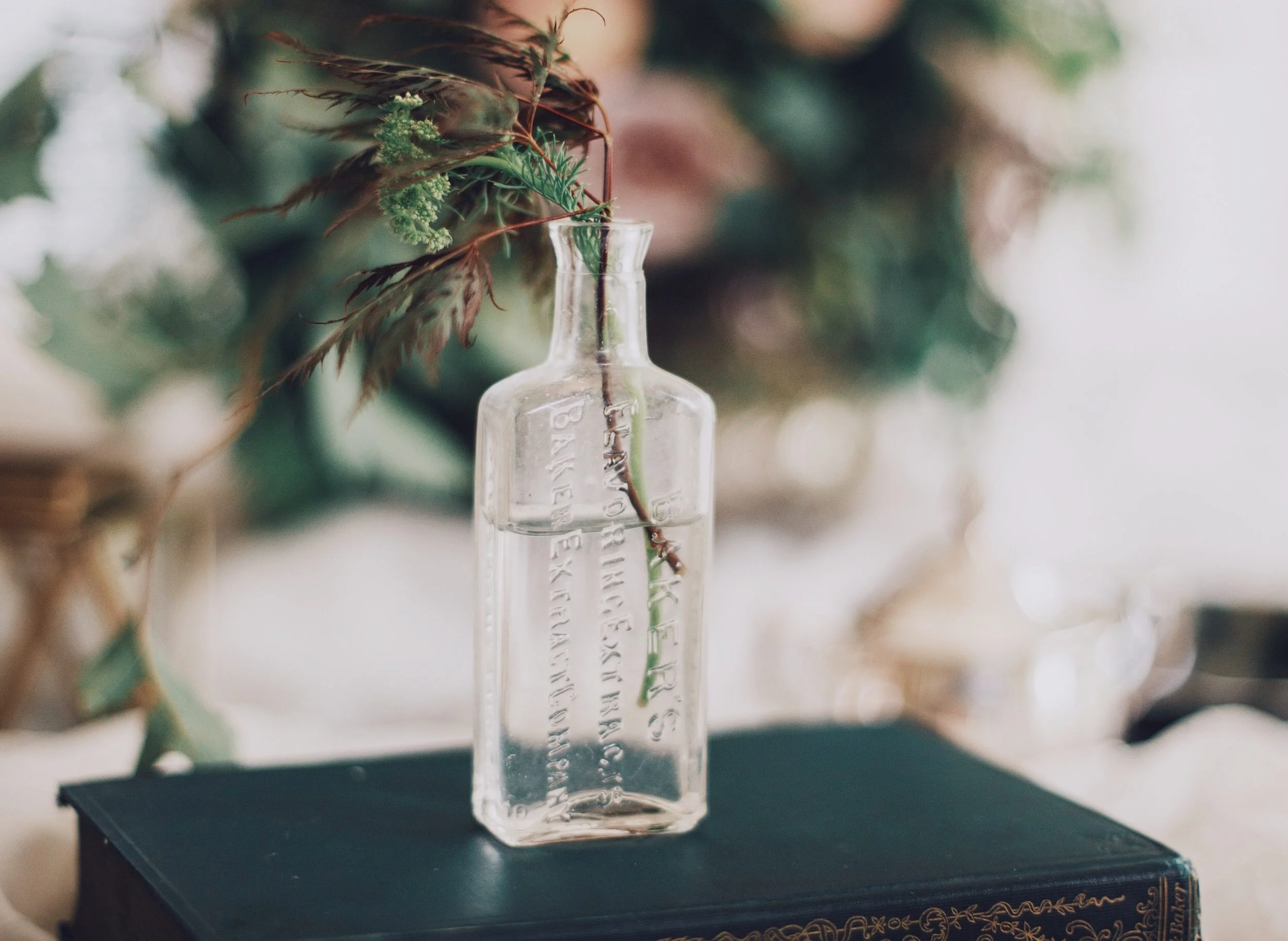 What is Your Focus On?