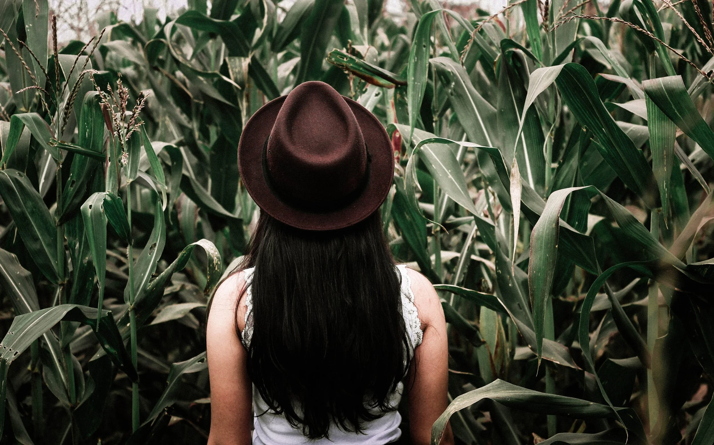 Hidden in Christ