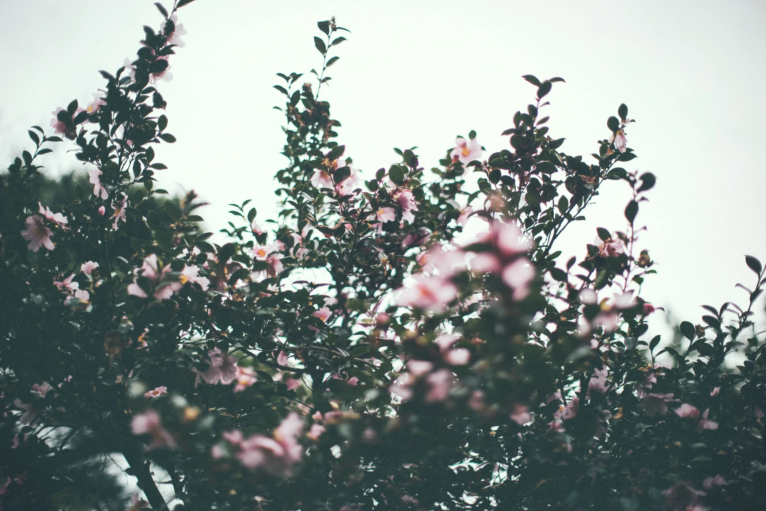 Why Accepting Jesus is Not the Most Important Part of Your Faith