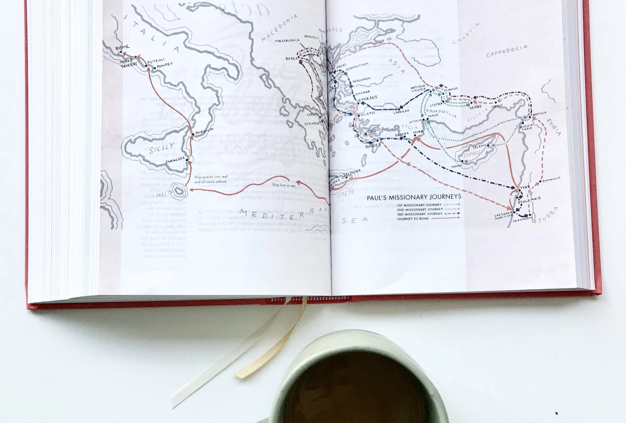 The She Reads Truth Bible + A GIVEAWAY