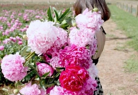 How to Love Like Jesus Does