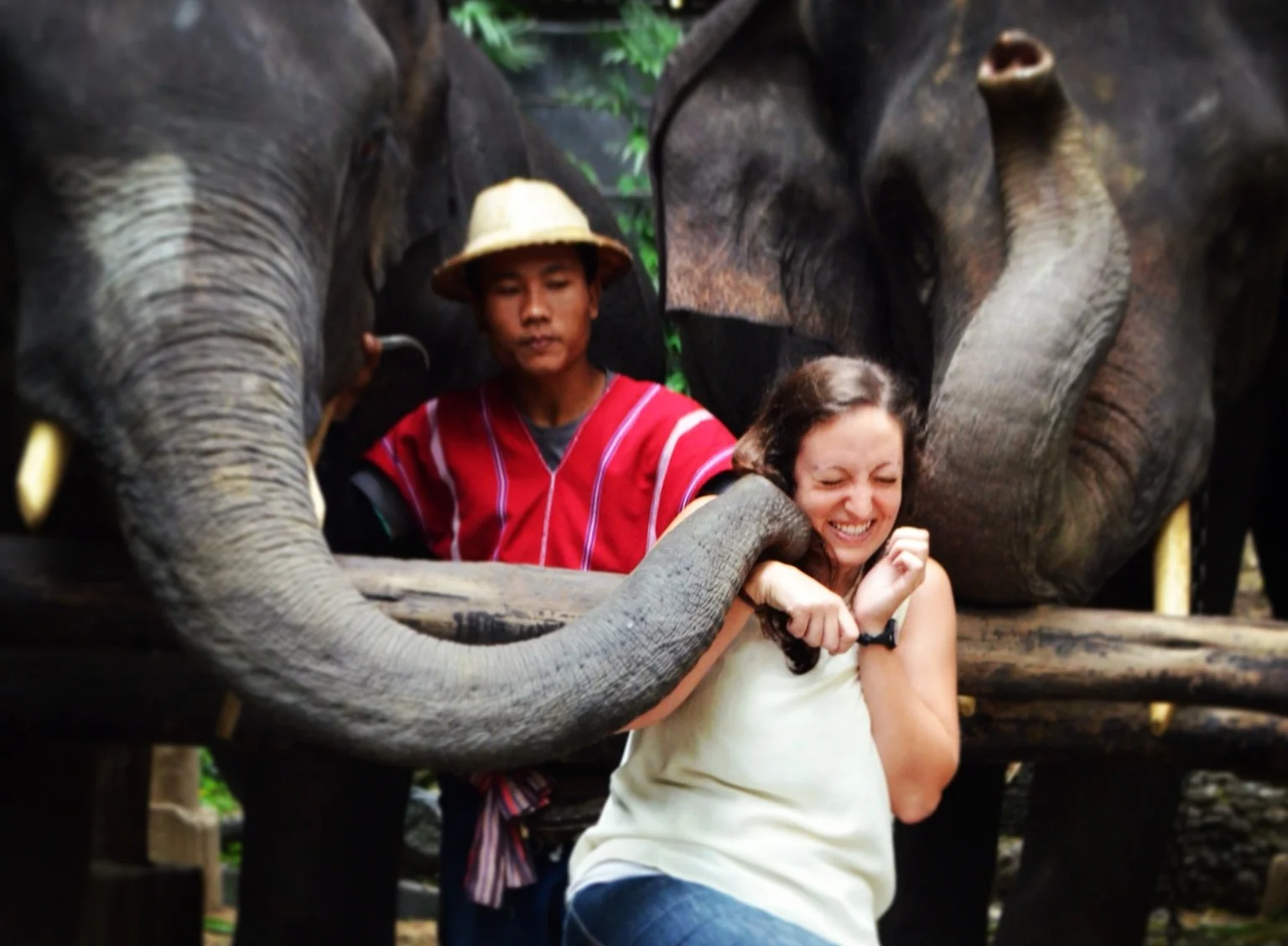 The World Race: 11 countries. 11 months. One ministry.