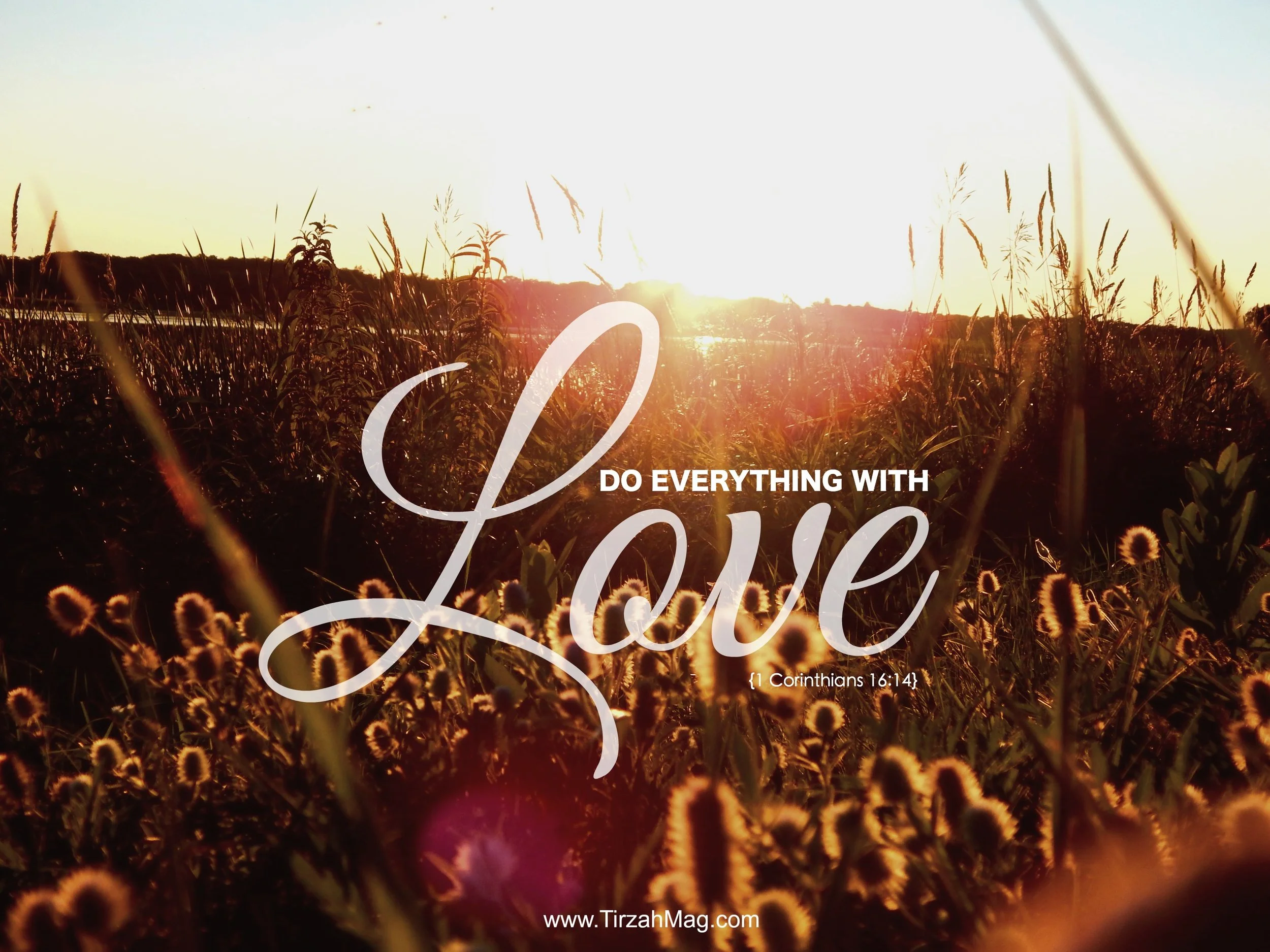 Fruits of the Spirit: Love Does