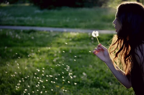 Finding Your Word for 2015