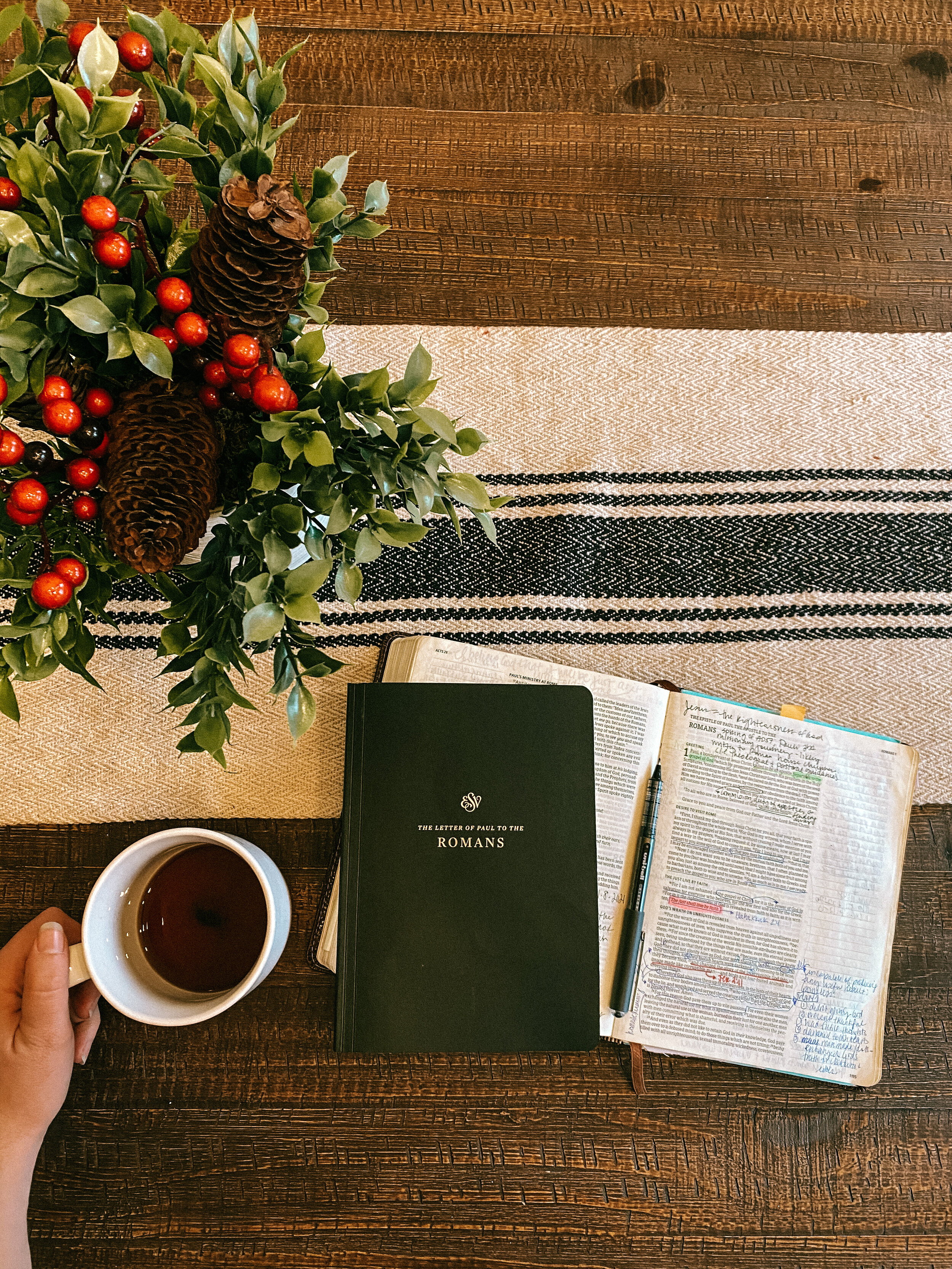 Romans: Why Do We Do What We Don’t Want To Do? 