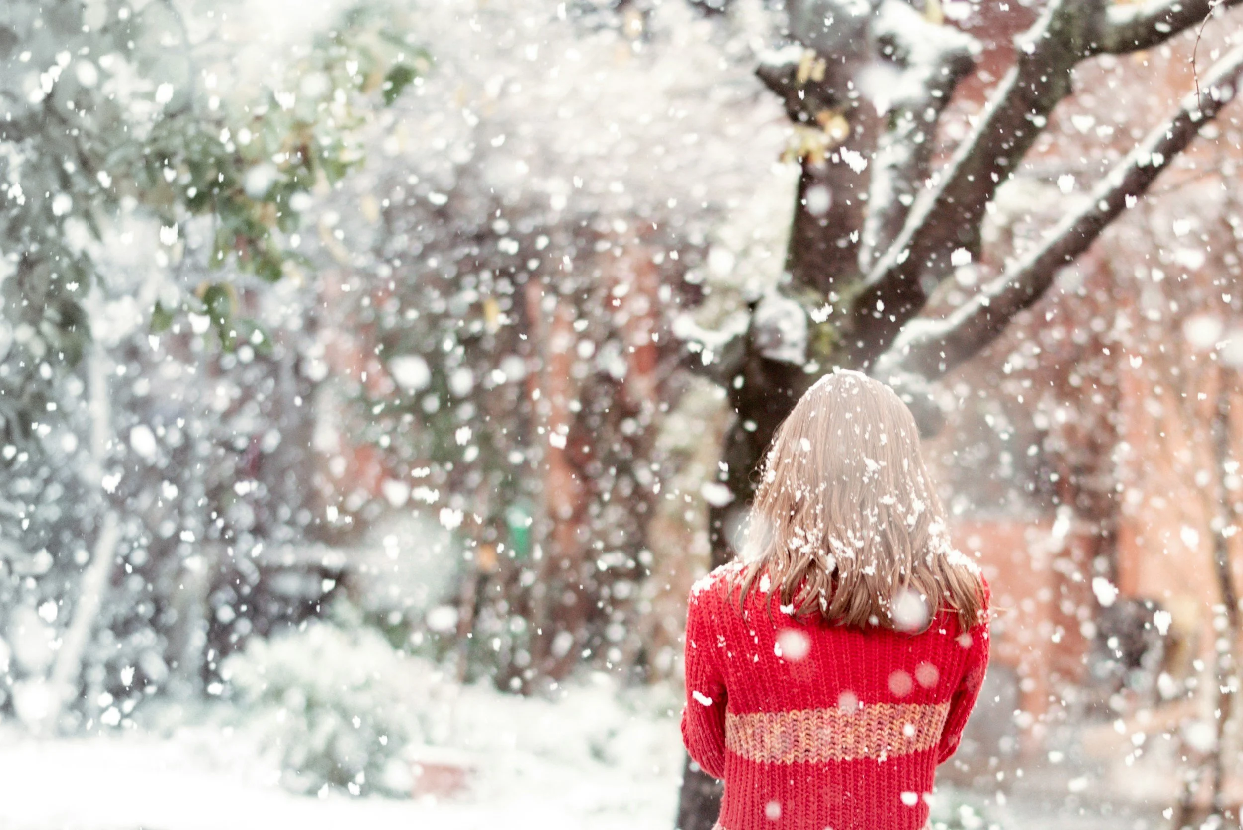 Silent Night