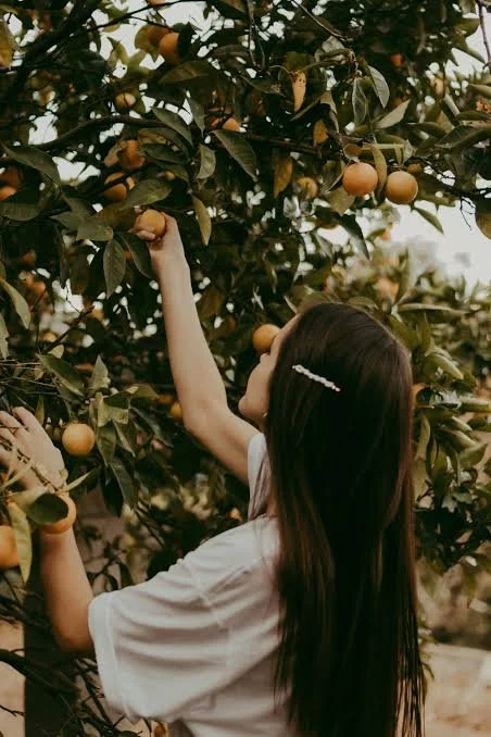 Walking in the Fruit of the Spirit: A Guide to Christlike Character