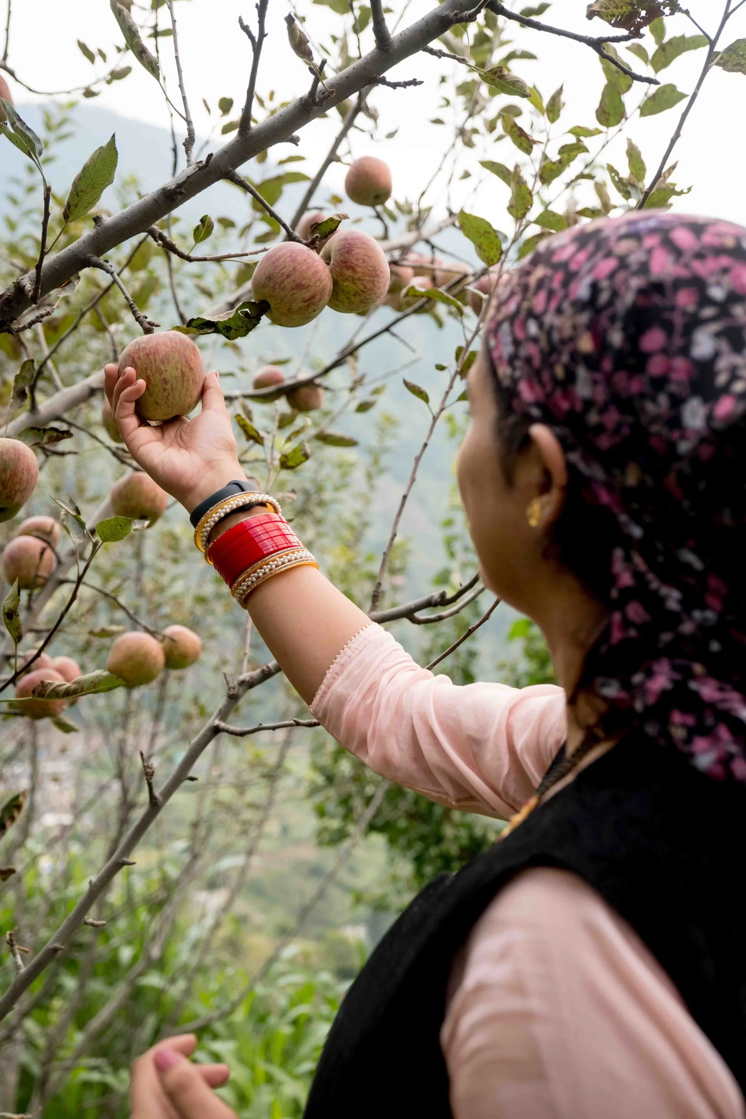 Walking in the Fruit of the Spirit: A Guide to Christlike Character
