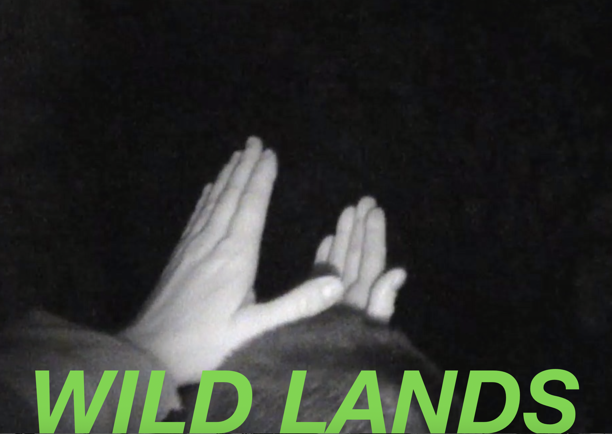 WILD LANDS. Portico Library Dec.2019. Choreographic Video and Discussion. With Juliet Davis, Rowland Hill and Joe Whitmore.3.png