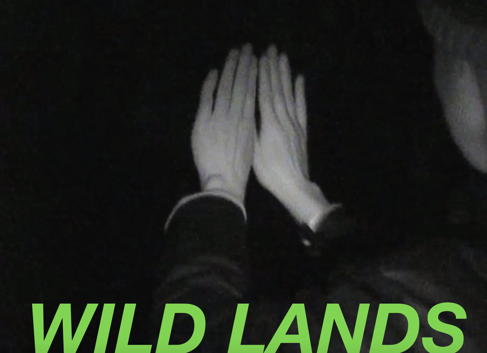 WILD LANDS. Portico Library Dec.2019. Choreographic Video and Discussion. With Juliet Davis, Rowland Hill and Joe Whitmore.4.png