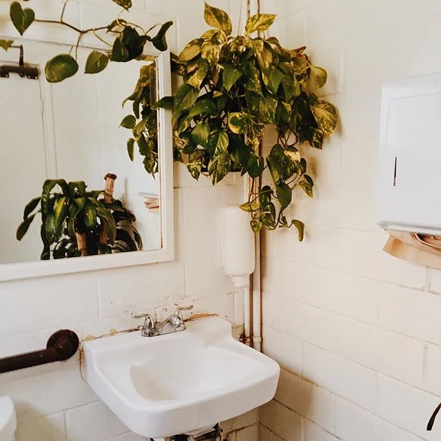 I&rsquo;m glad true happiness doesn&rsquo;t have a price tag attached to it. &mdash;&mdash; I walked into a random bathroom and felt peace, happiness, and appreciation for life 🤷🏻&zwj;♂️