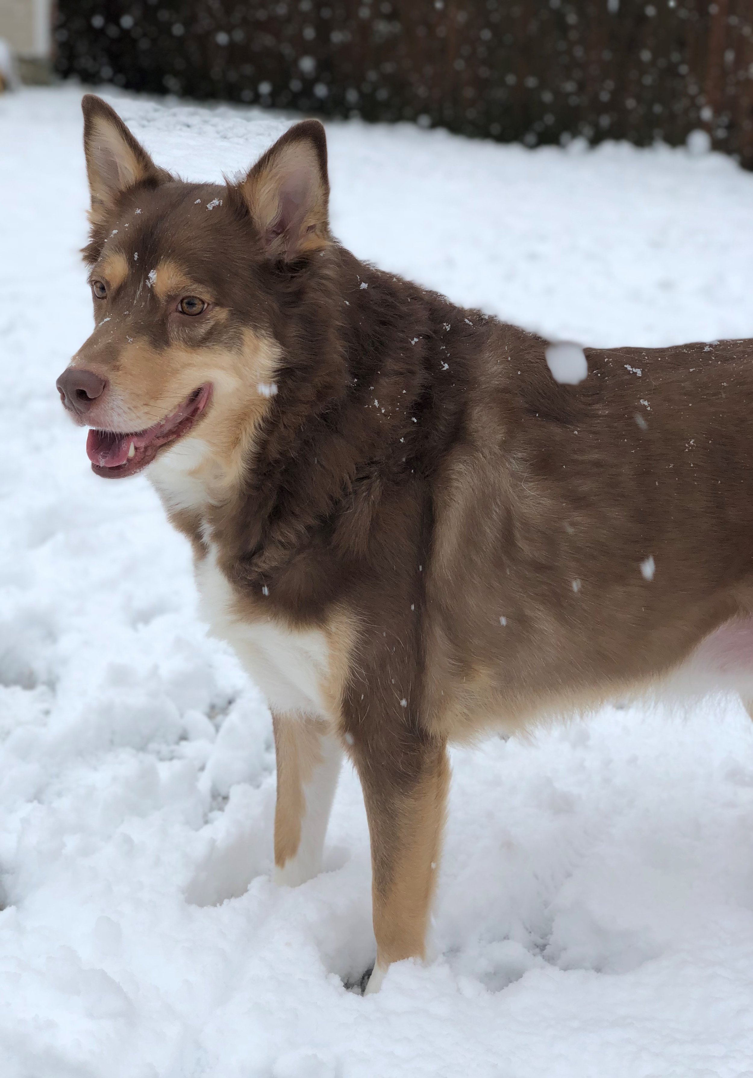 titan snow pic.jpeg