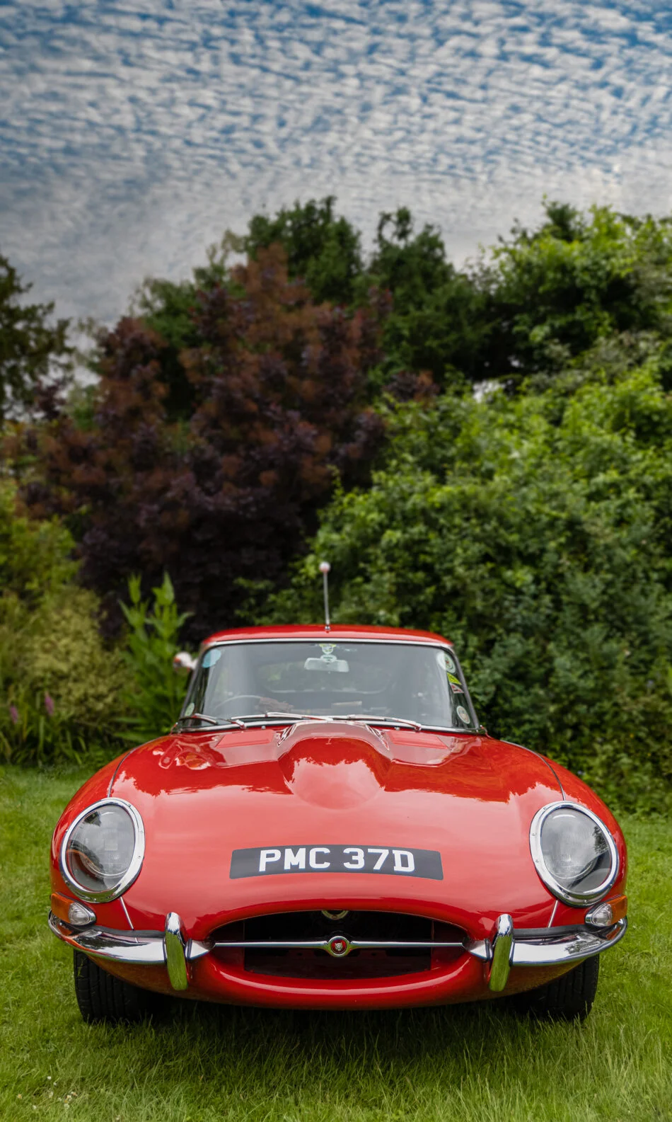 Jaguar E-Type 2 plus 2 - 1966