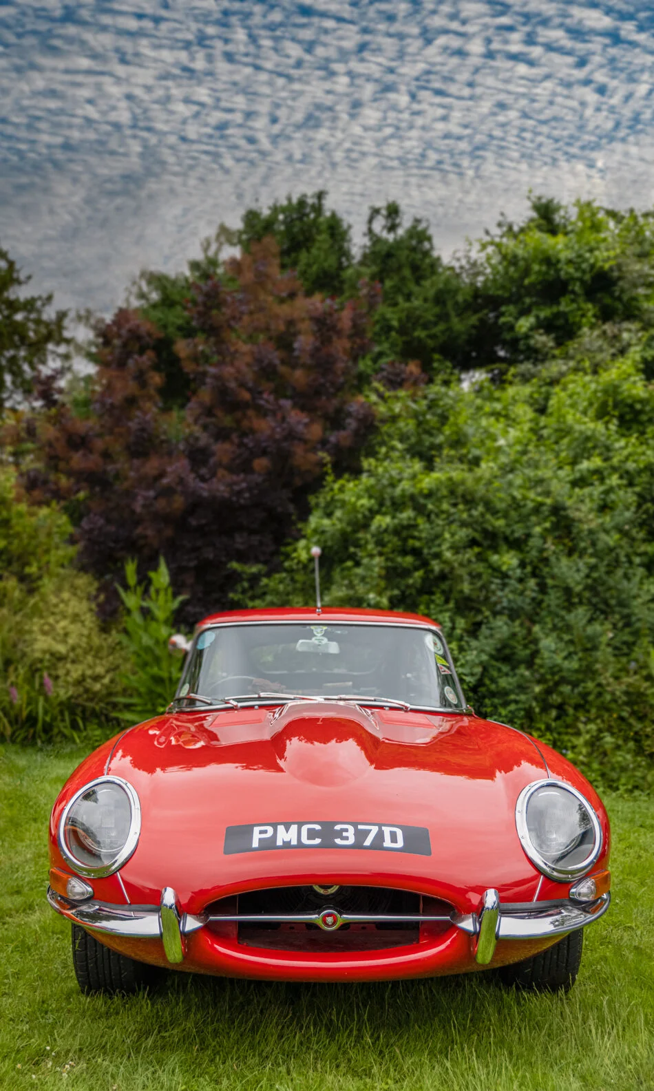 Jaguar E Type two plus two - 1966