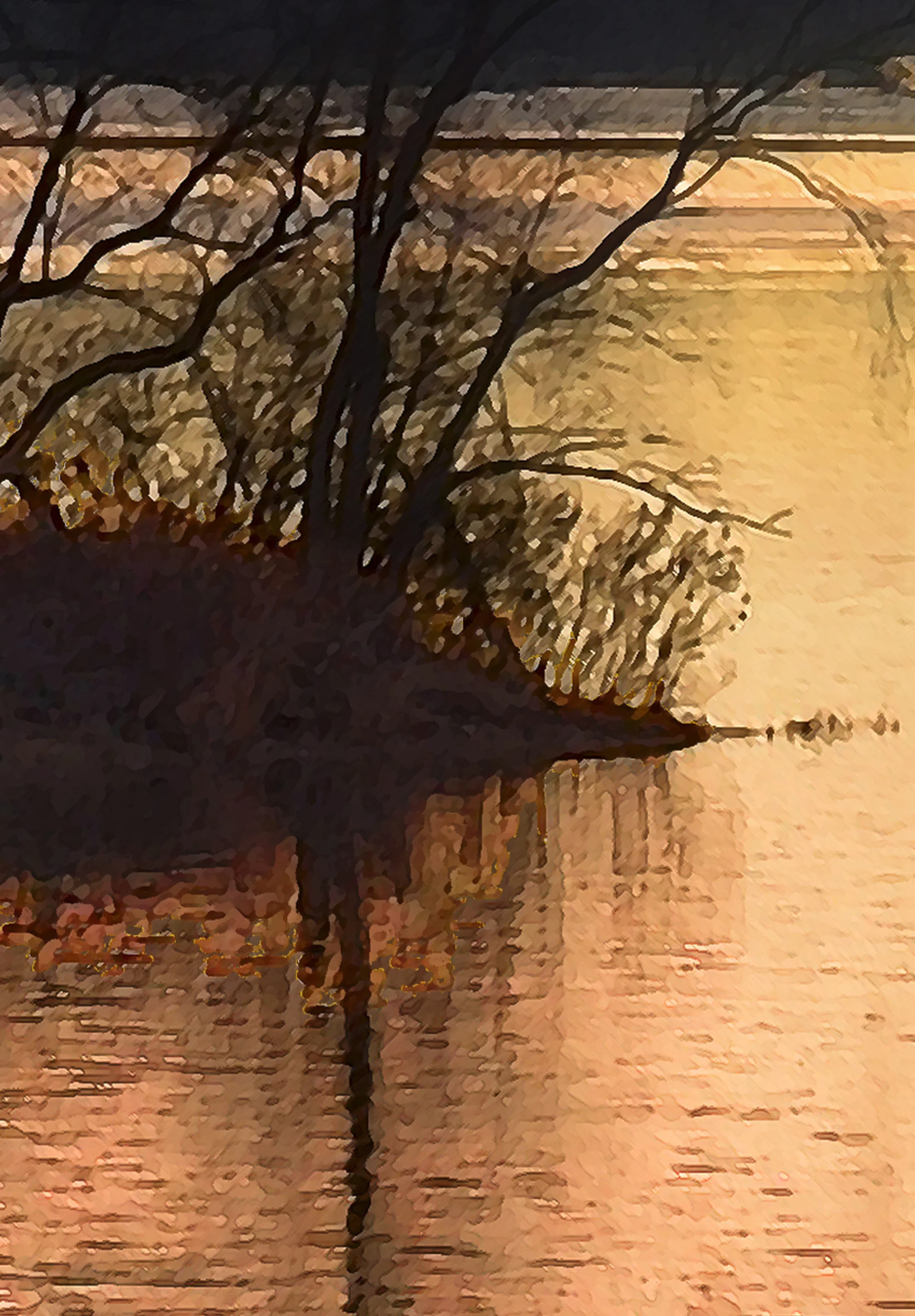 Detail: Morning Catch