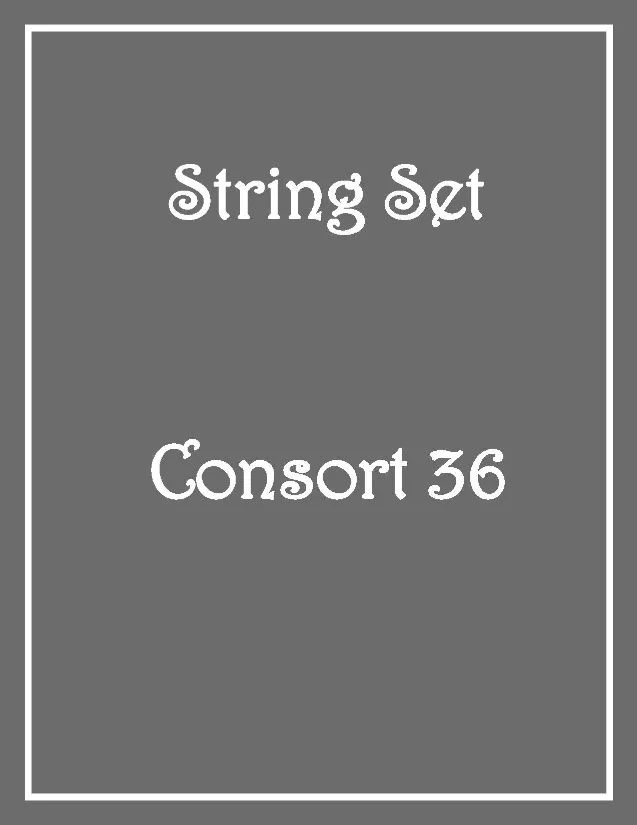 consort36.jpg