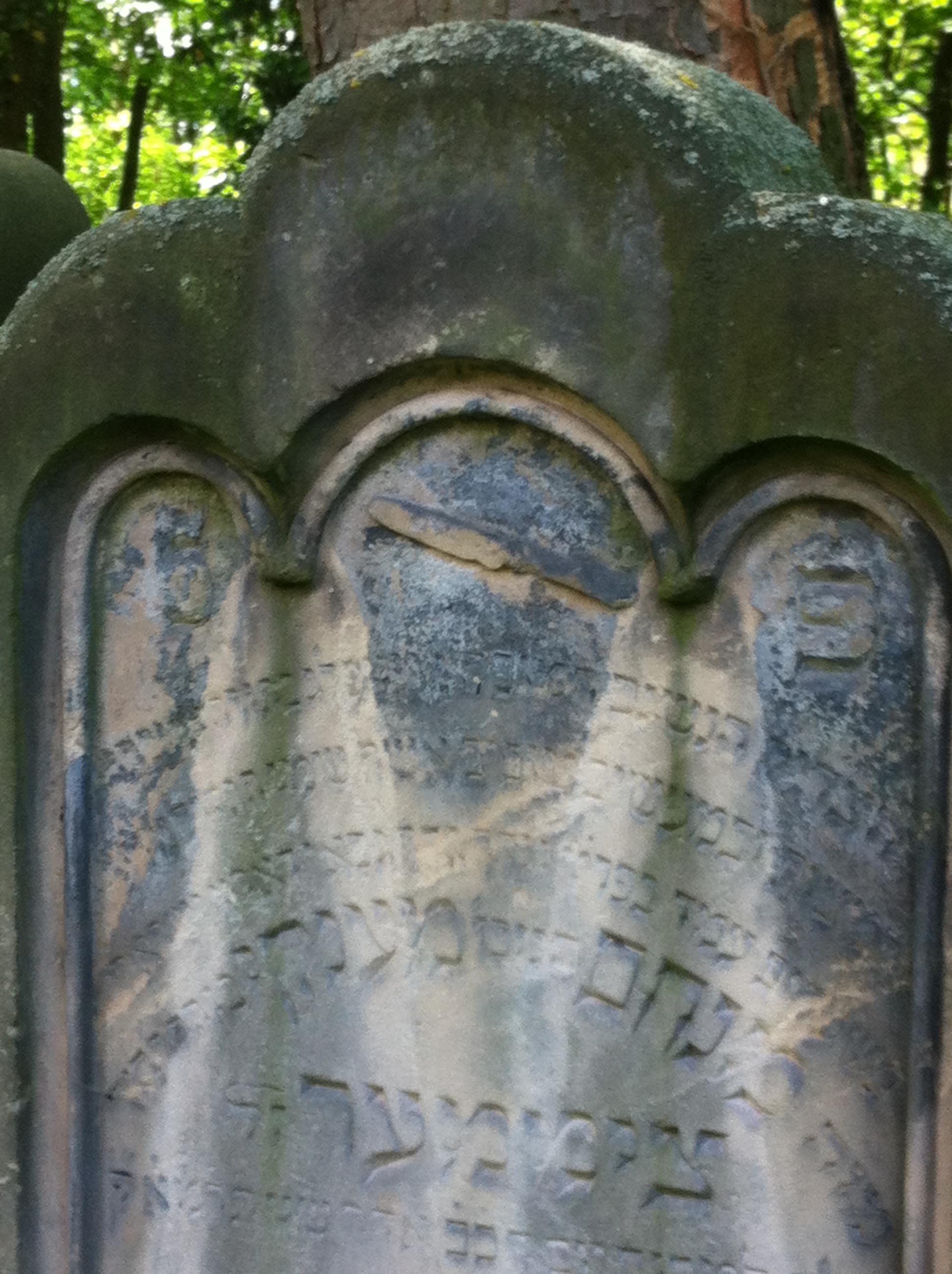 Fürth, Jüdischer Friedhof. Fotos: Frank Drechsler