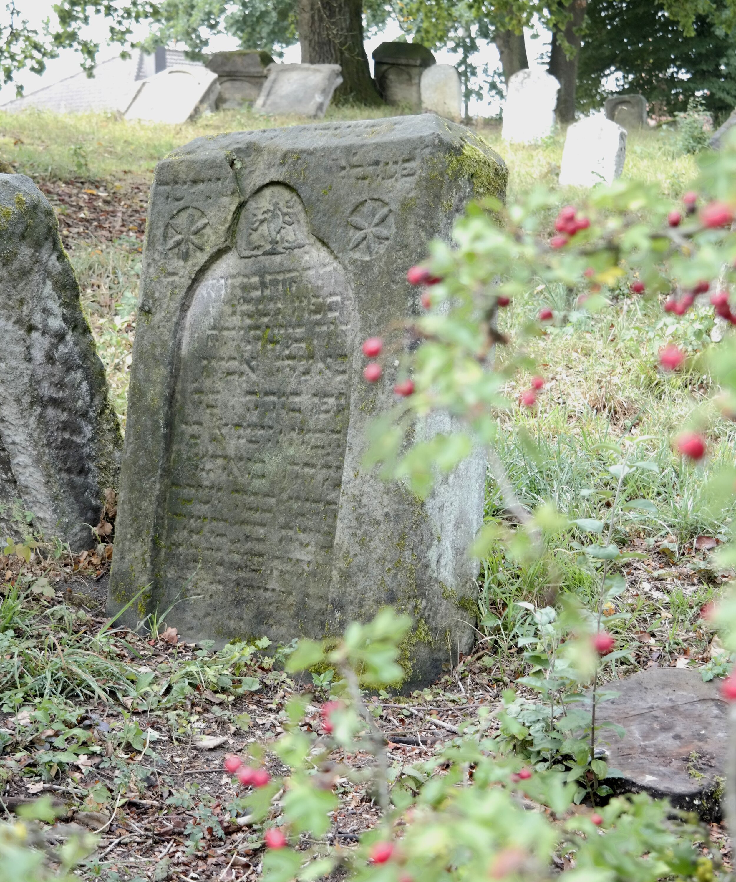 Grabsteine jüdischer Friedhof Schnaittach © Helmut Meyer zur Capellen (Kopie)