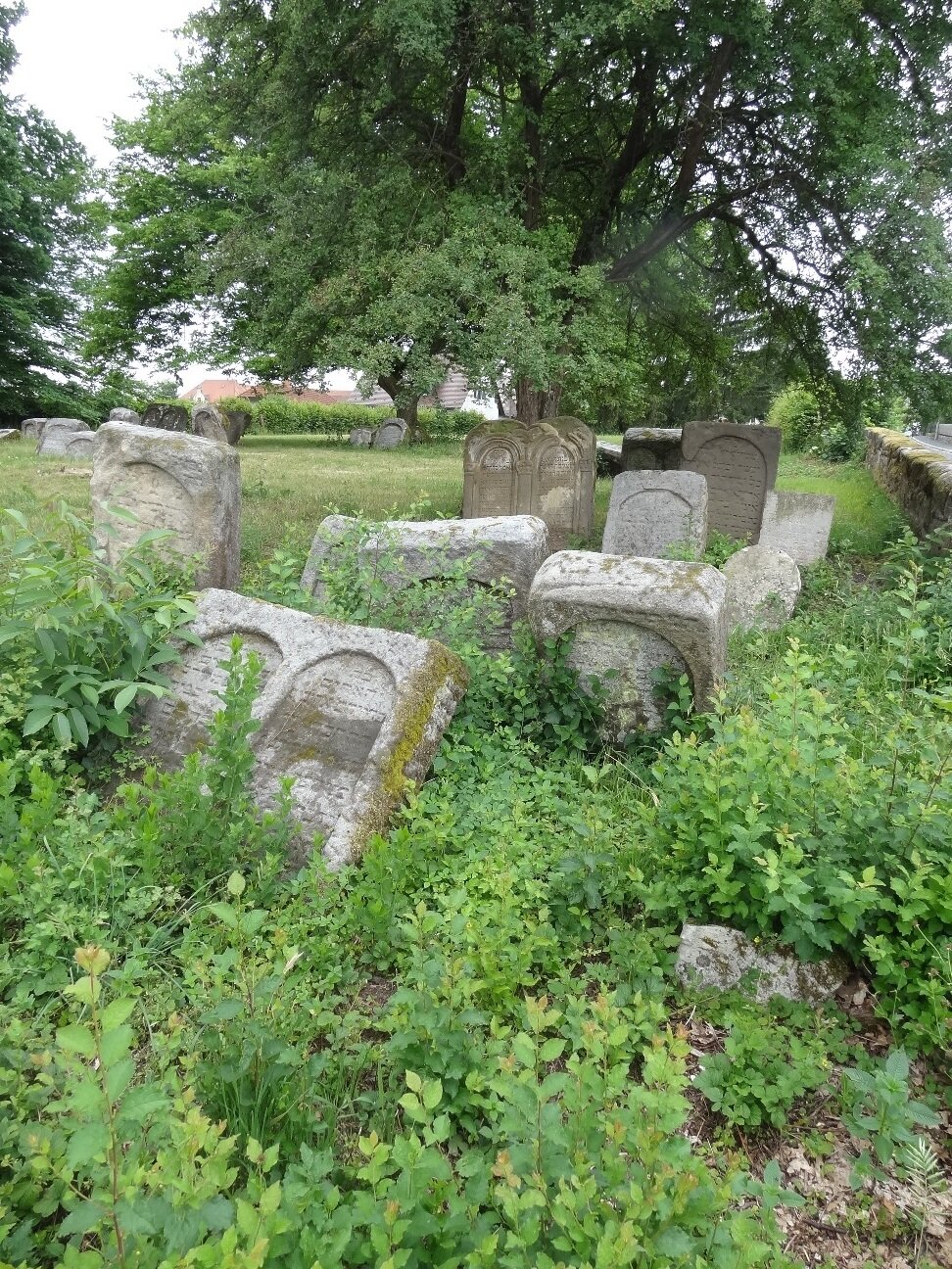 Grabsteine jüdischer Friedhof Schnaittach © Helmut Meyer zur Capellen (Kopie)