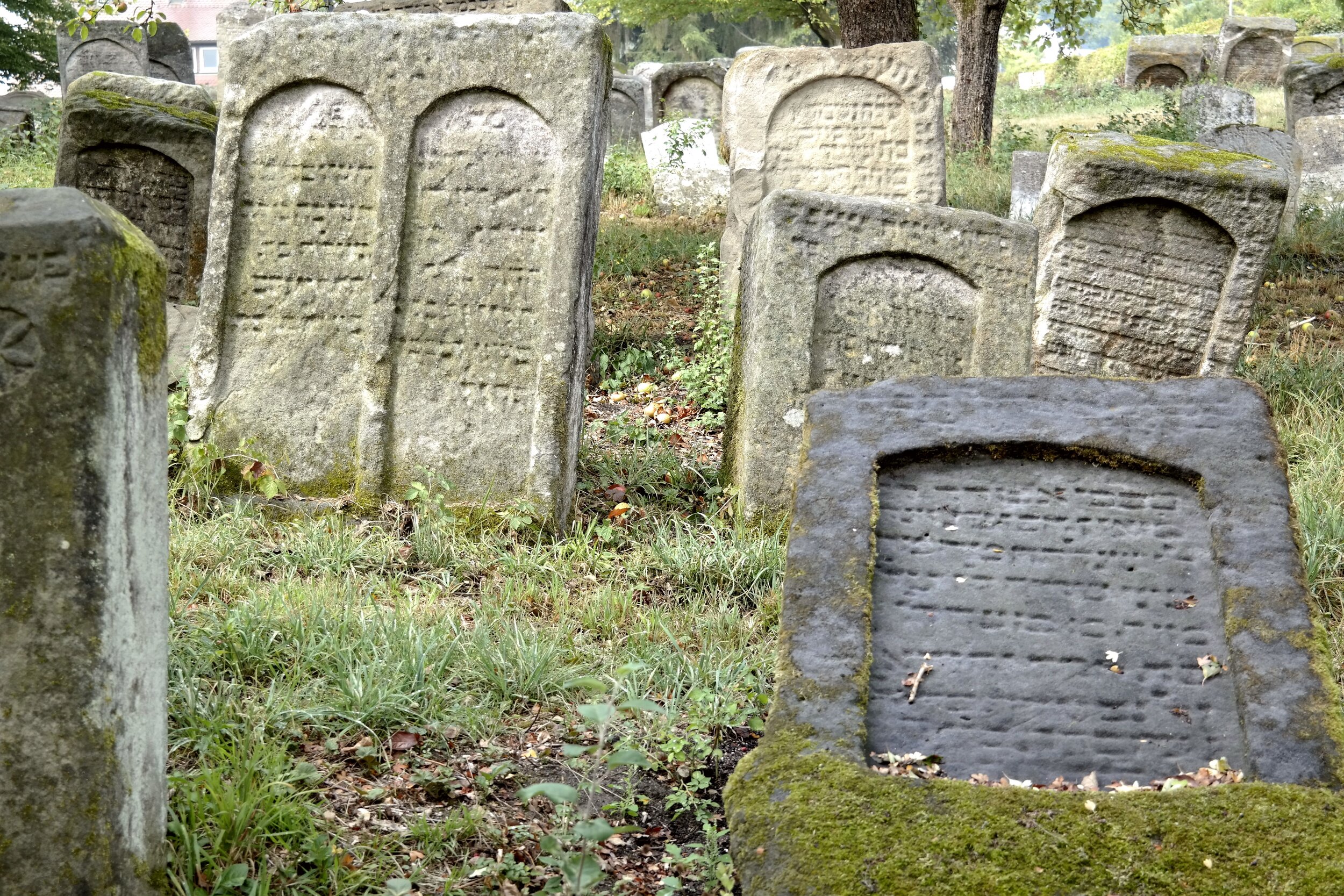 Grabsteine jüdischer Friedhof Schnaittach © Helmut Meyer zur Capellen