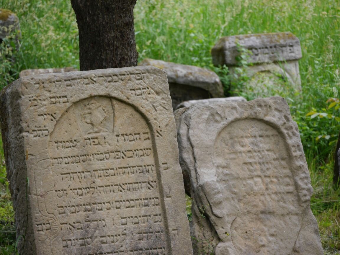 Grabsteine auf dem jüdischen Friedhof in Schnaittach © Nathanja Hüttenmeister