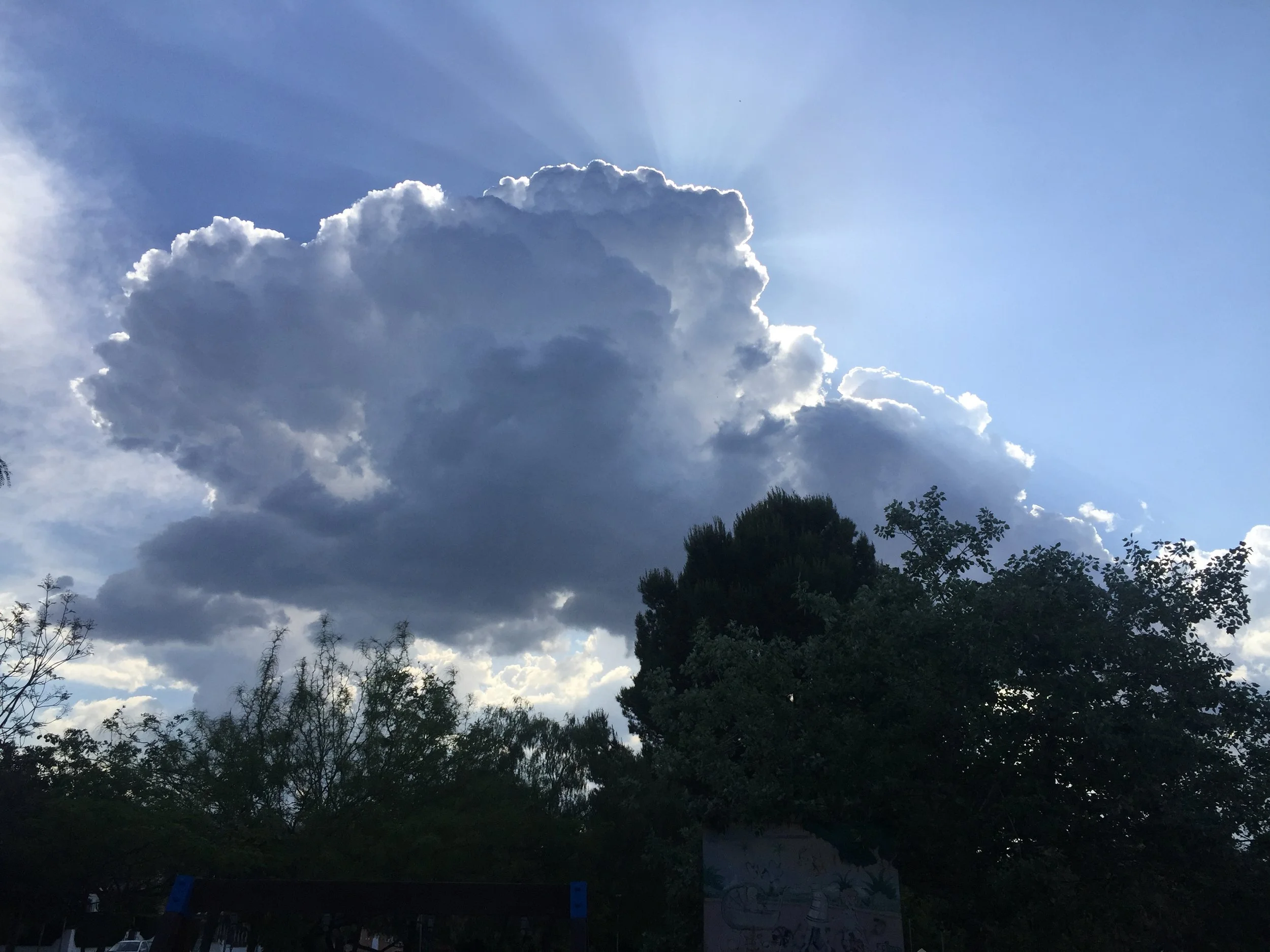 Finding Perspective in Pursuit of a Treasure