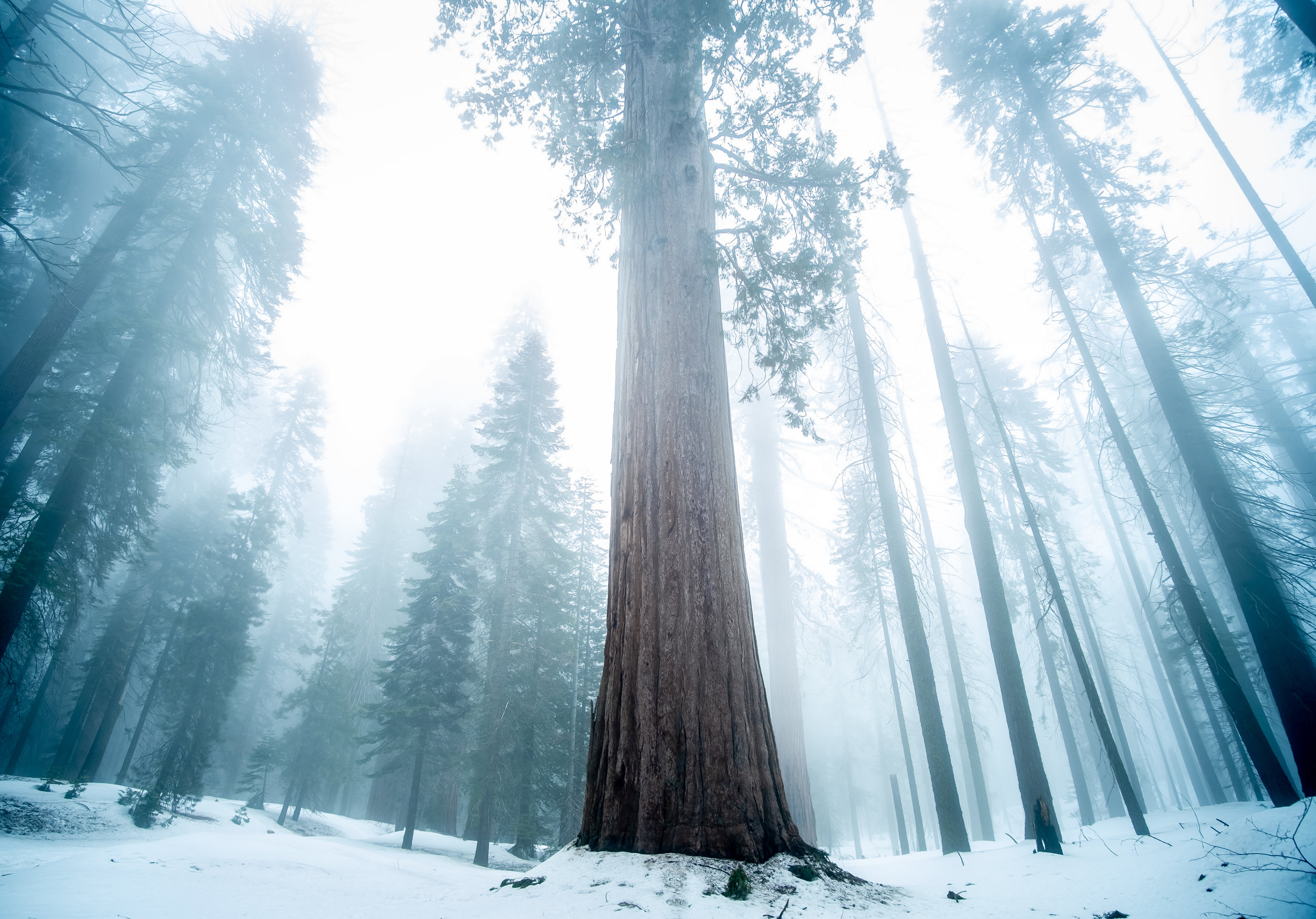 Although transition may feel like a season of winter, there is light ahead