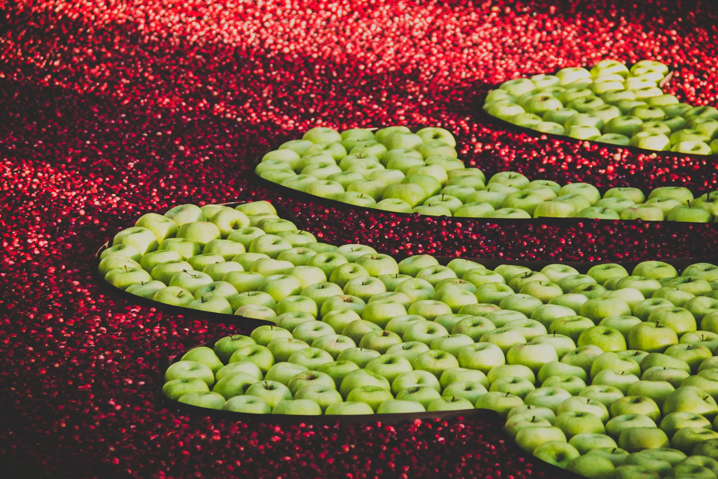 Creating From Abundance versus Scarcity: 6 Lessons from Unblocked Creatives