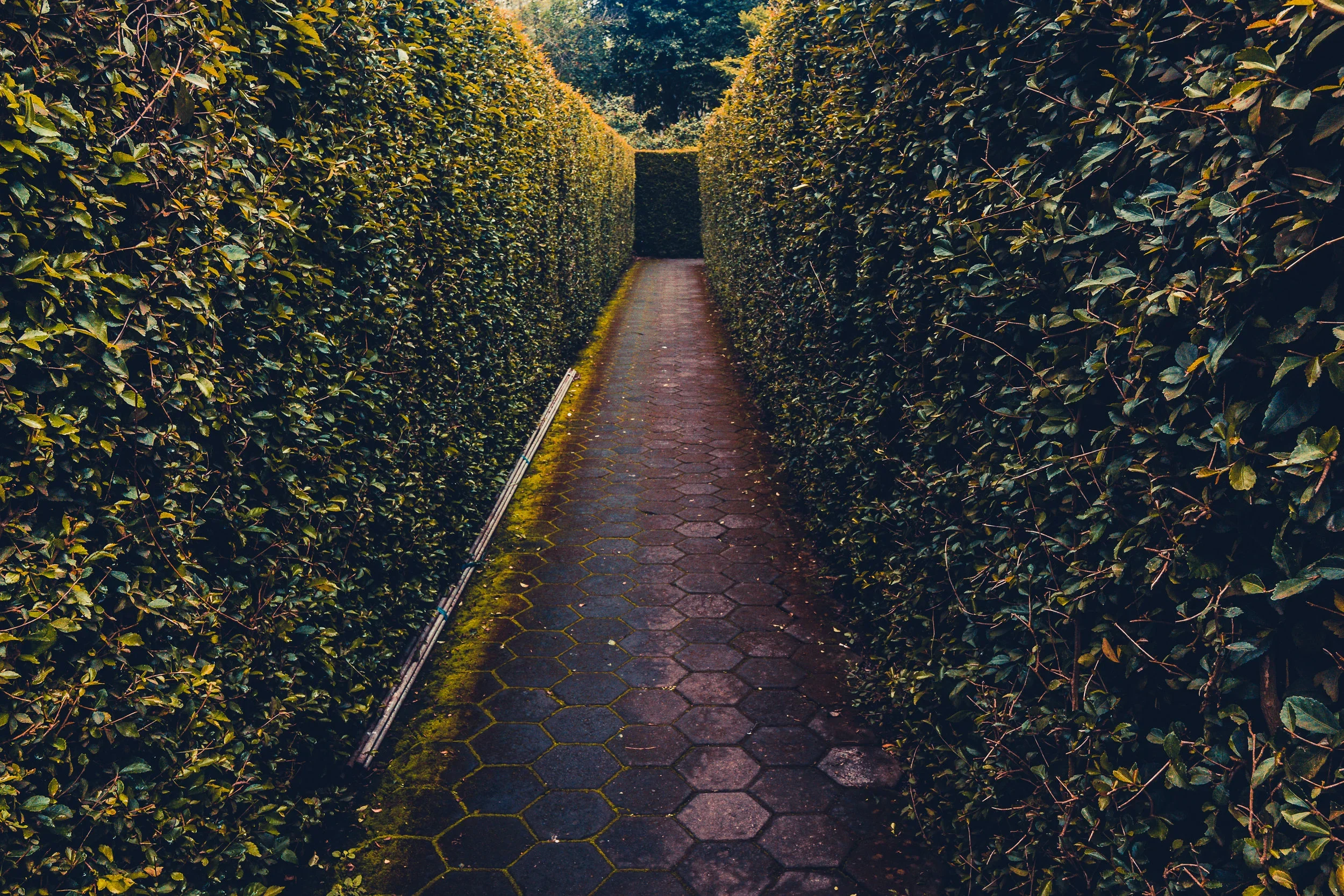 Walking into the Labyrinth called Sabbatical&nbsp;