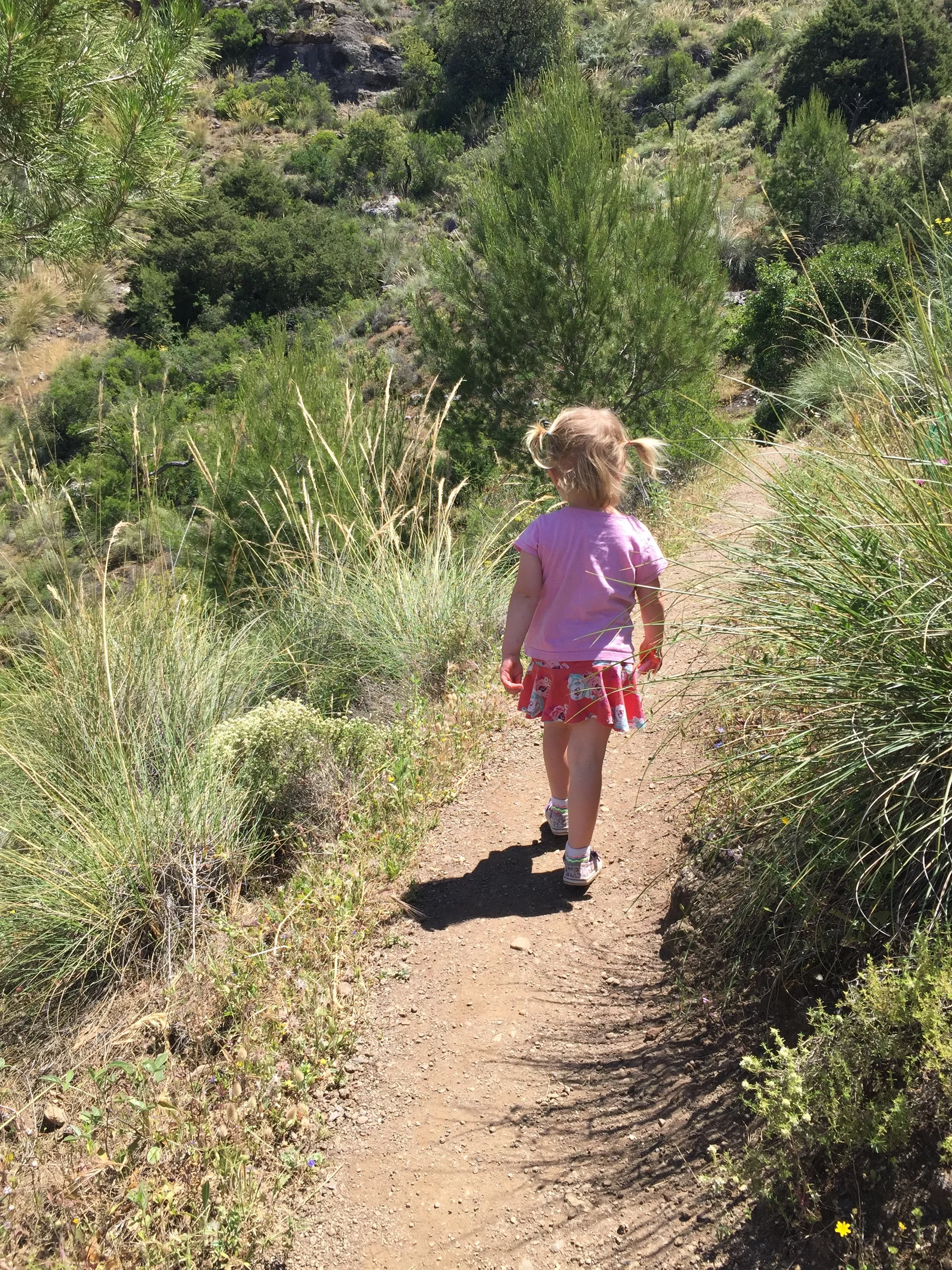 Attending to the Present: Mindfulness Lessons from a three year-old
