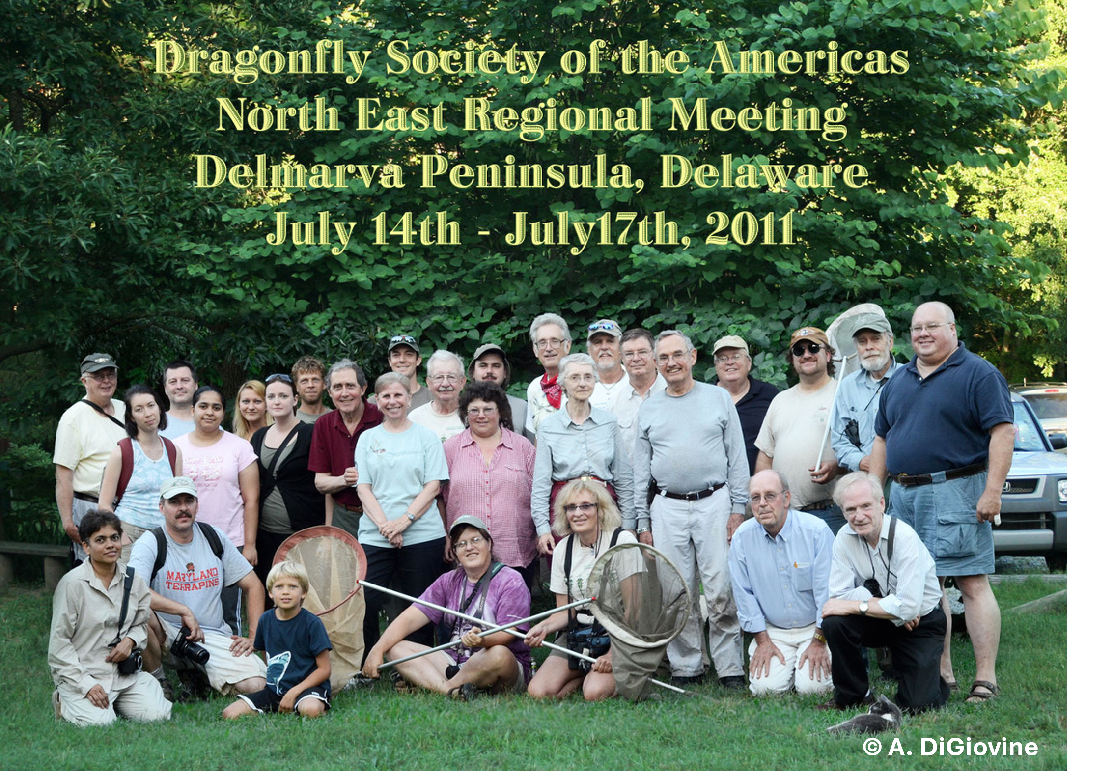 NEDSA 2011 - DelMarVa Peninsula, DE