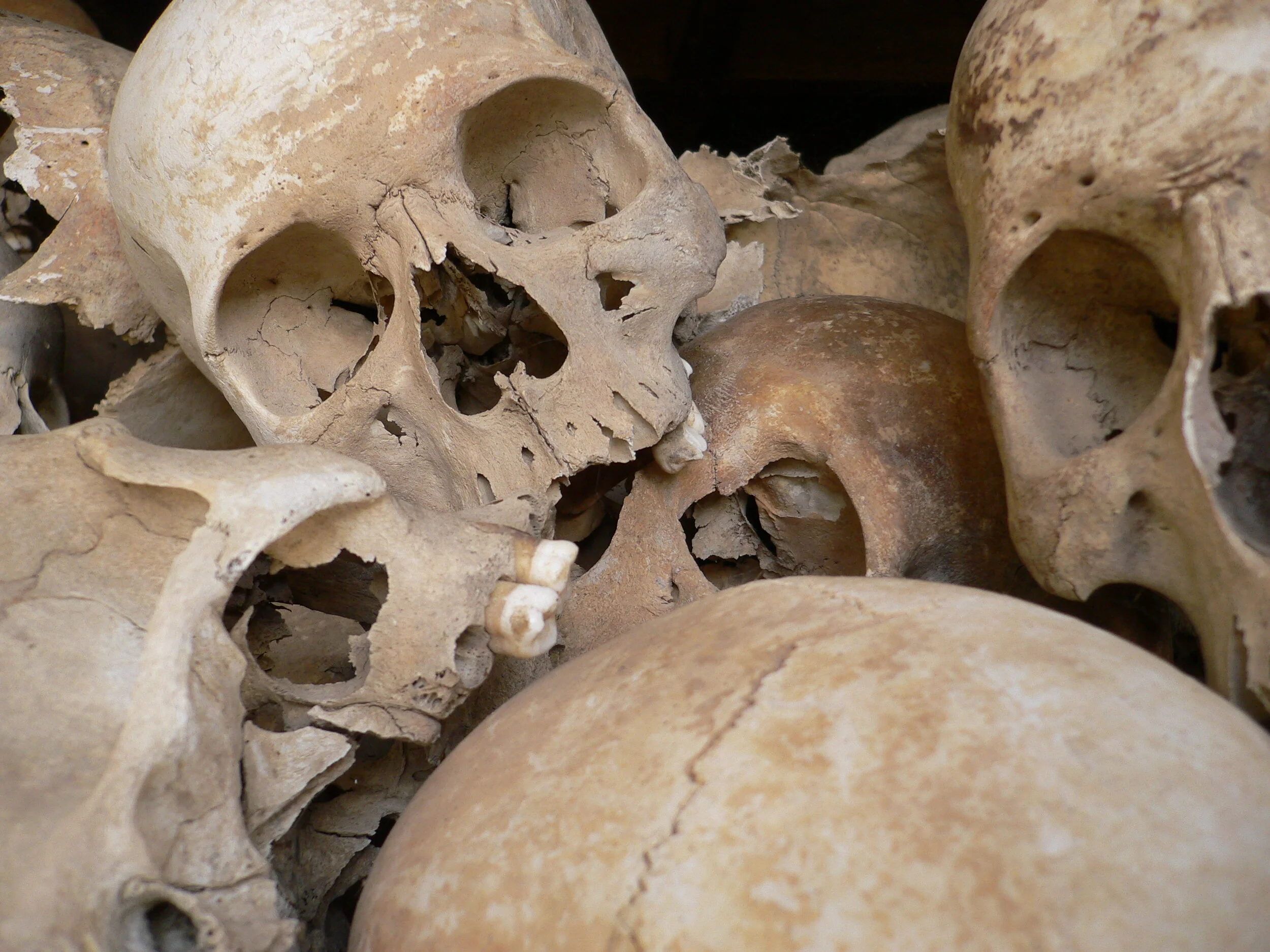 Khmer Rouge Victims: Lead Counsel