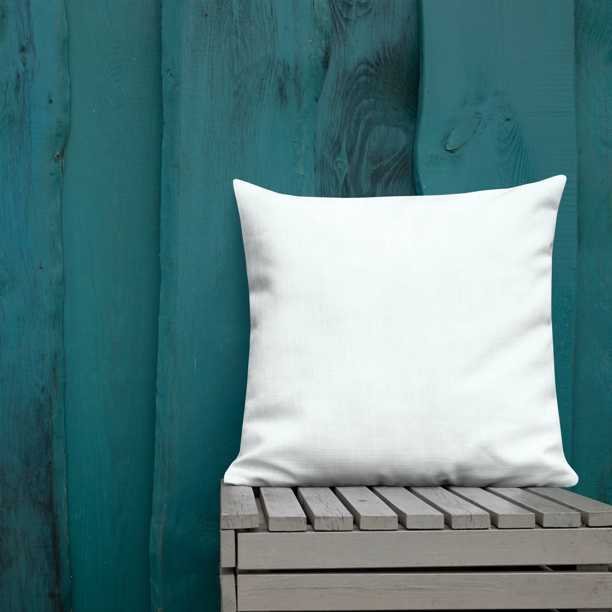all-over-print-premium-pillow-22x22-back-lifestyle-1-693092c26501d.jpg