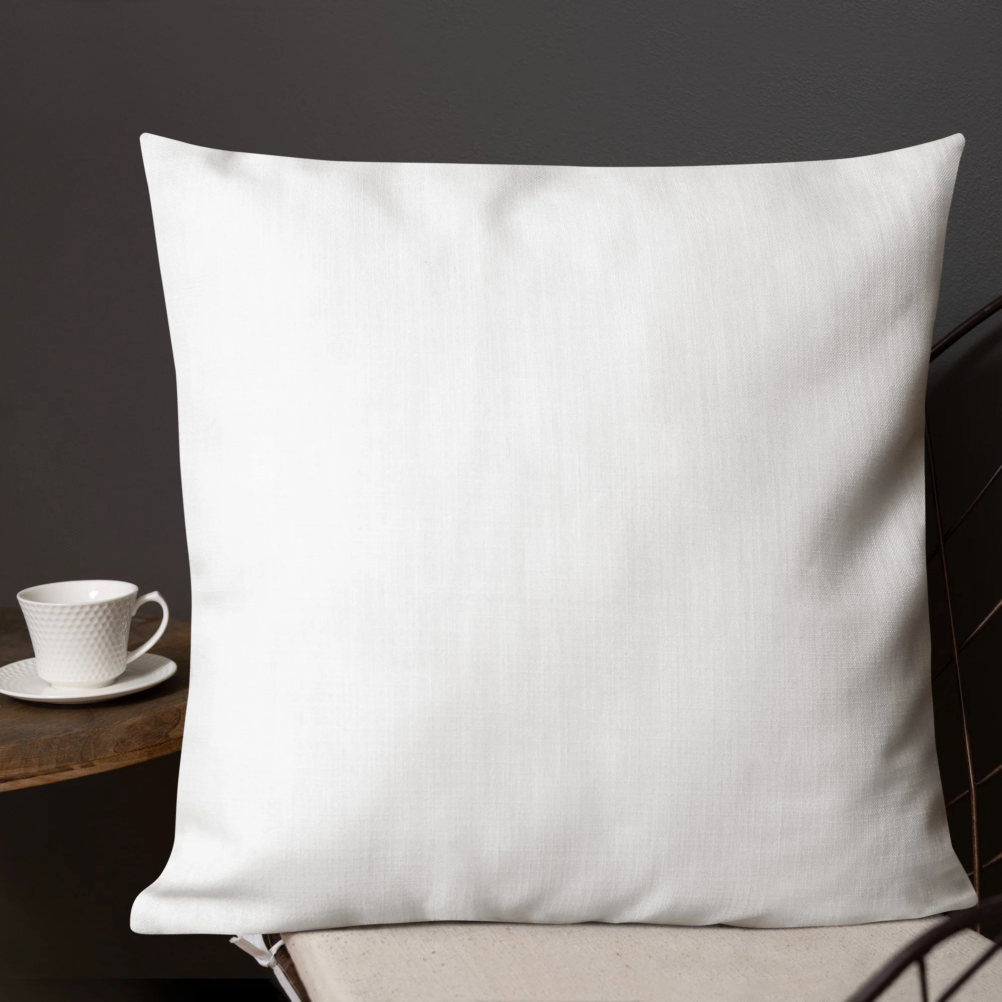 all-over-print-premium-pillow-22x22-back-lifestyle-3-693092c2653a8.jpg